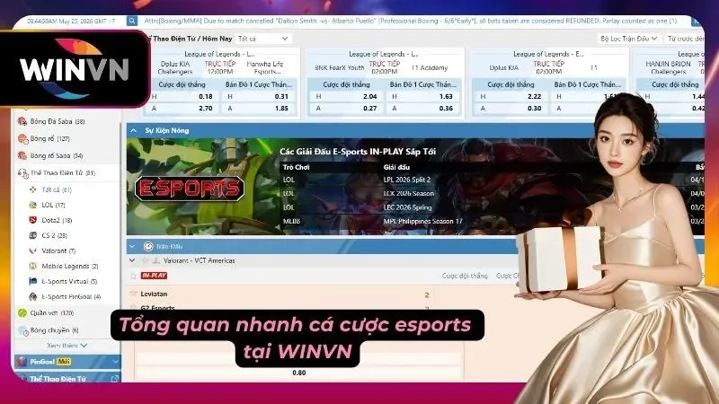 Sơ lược nhanh về Esports tại đây