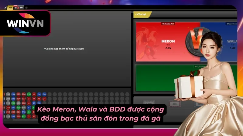 Màn hình đặt cược kèo Meron