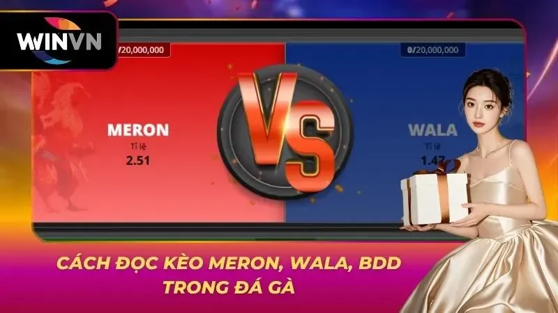 Cách Đọc Kèo Meron, Wala, BDD Trong Đá Gà